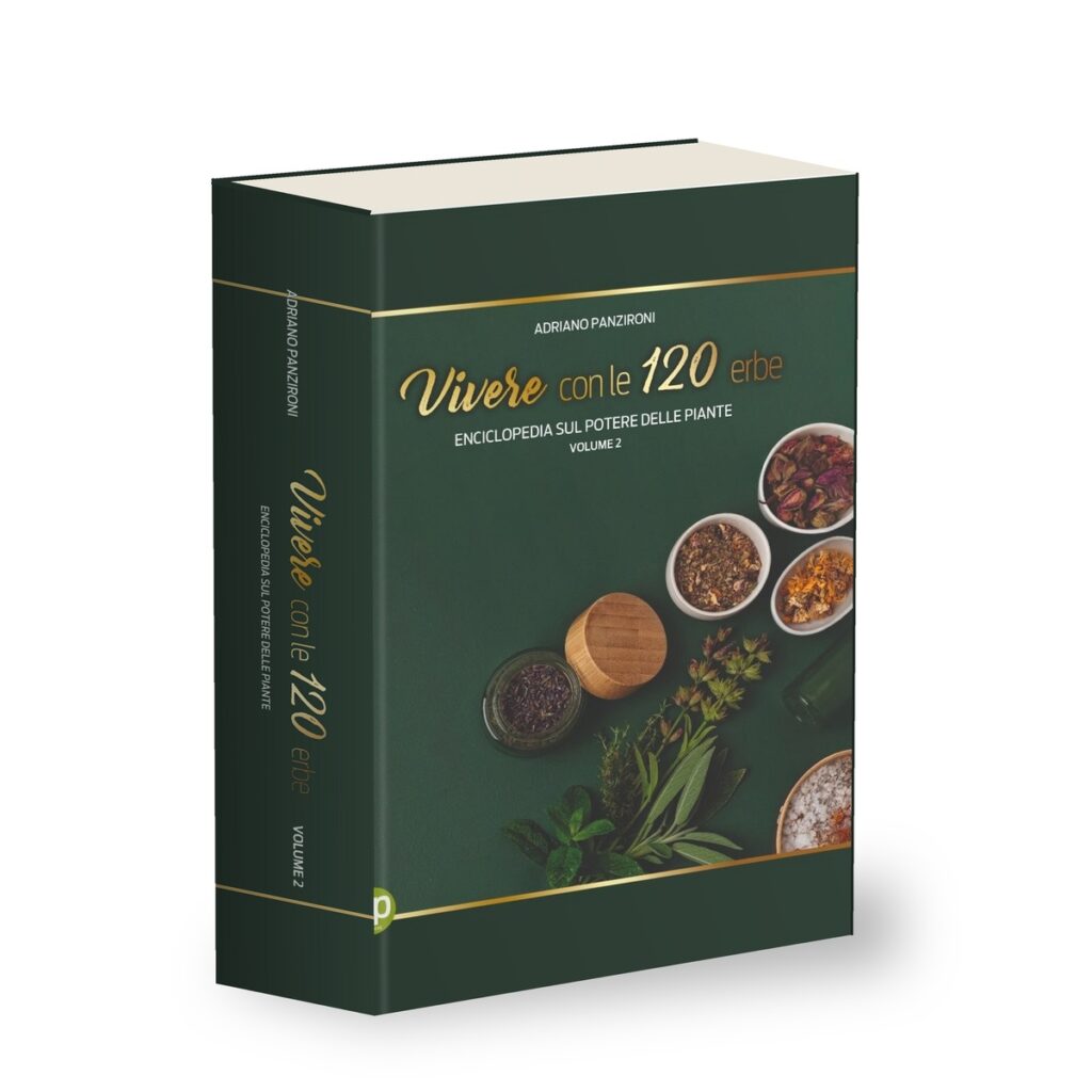 Libri di Adriano Panzironi